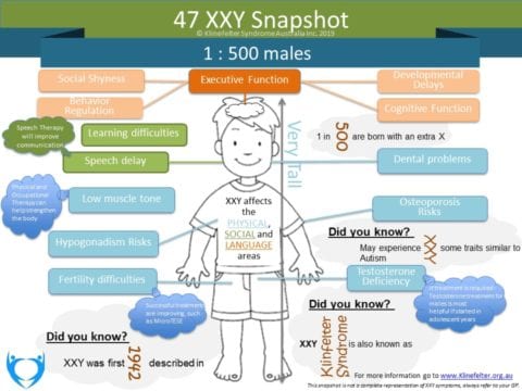47XXY Klinefelter Symptoms: Quick Visual Guide